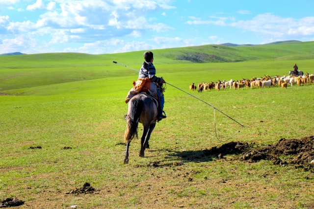 モンゴル人と遊牧生活