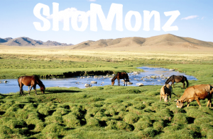 Shomonzモンゴルサロン